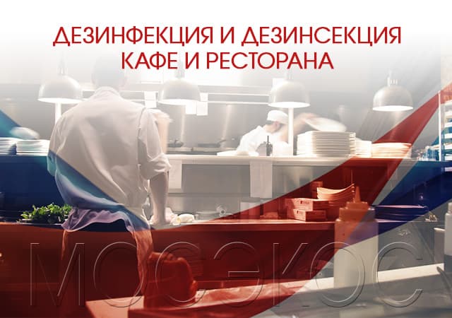 Дезинсекция предприятия общественного питания в Протвино