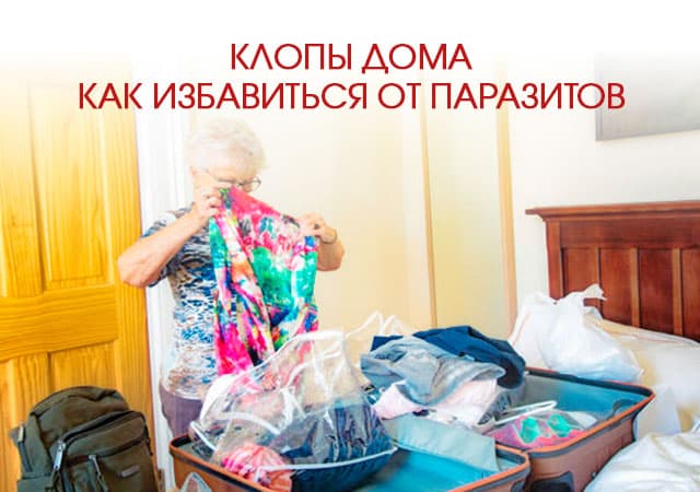 Клопы дома: как избавиться от паразитов в Протвино